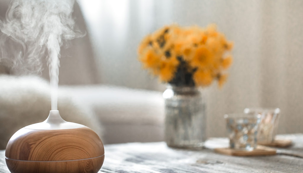 How to Keep Your Home Smelling Fresh: Tips for Deodorizing Your Home 2 fresh smelling home