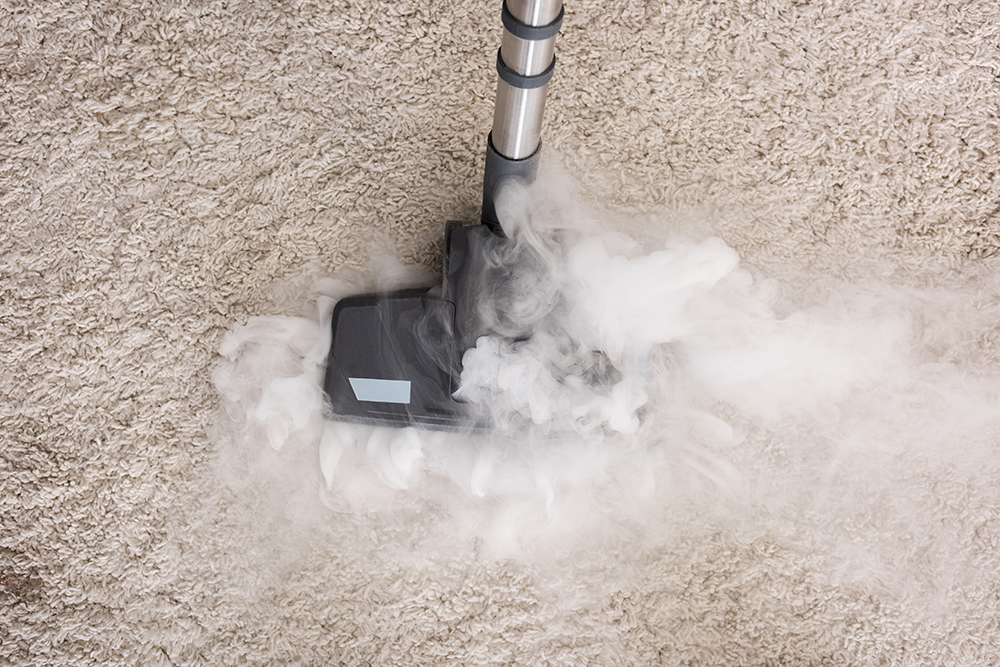 The Importance of Commercial Carpet Cleaning: How Businesses Benefit From It 6 Commercial carpet cleaning