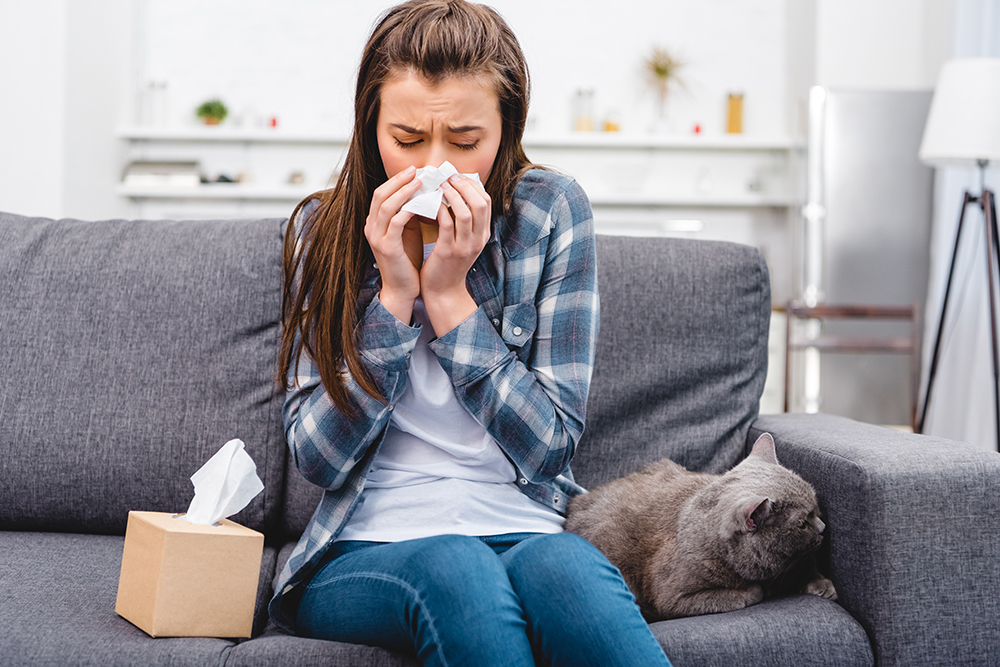 How to Reduce Indoor Allergens in Your Home 6 reduce indoor allergens